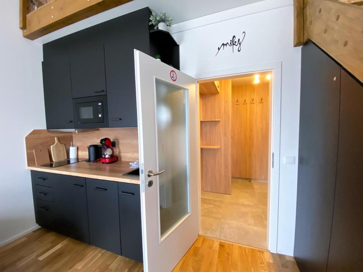Miky Apartmán Klínovec view Loučná pod Klínovcem Exteriér fotografie