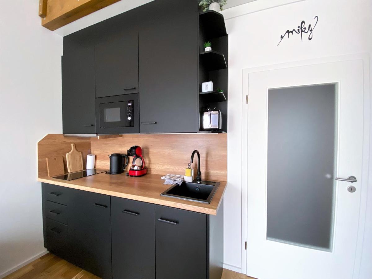 Miky Apartmán Klínovec view Loučná pod Klínovcem Exteriér fotografie