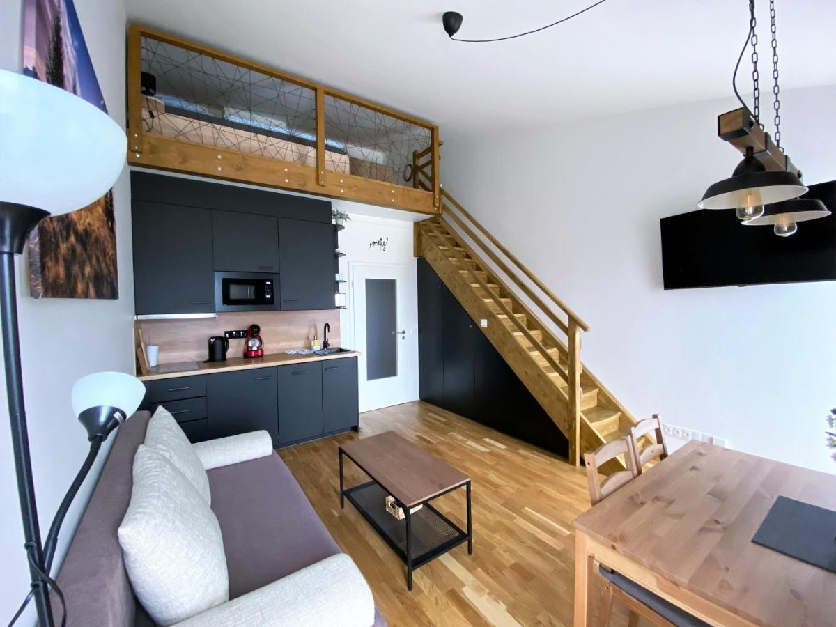 Miky Apartmán Klínovec view Loučná pod Klínovcem Exteriér fotografie