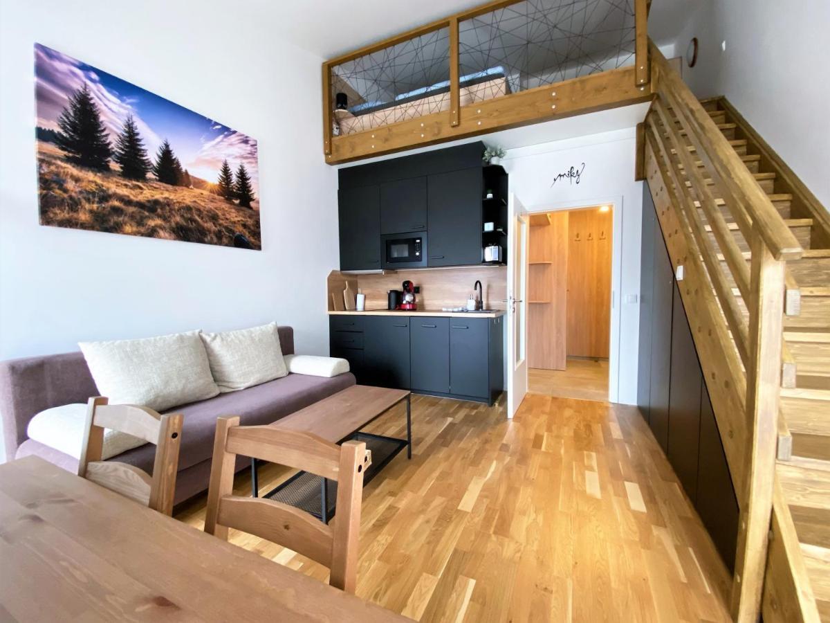 Miky Apartmán Klínovec view Loučná pod Klínovcem Exteriér fotografie